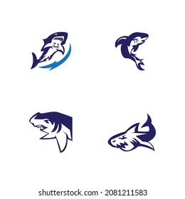 Shark icon and symbol vector illustration