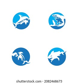 Shark icon and symbol vector illustration