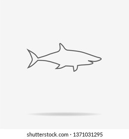 Shark icon. Vector concept illustration for design.