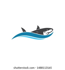 shark icon vector illustration design template