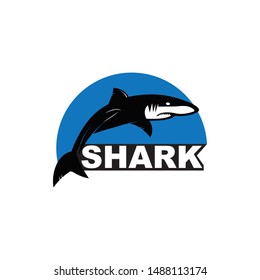 shark icon vector illustration design template