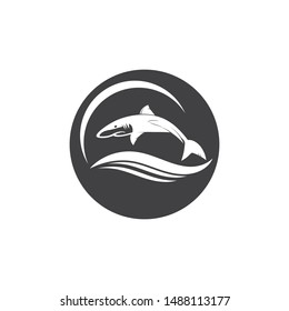 shark icon vector illustration design template