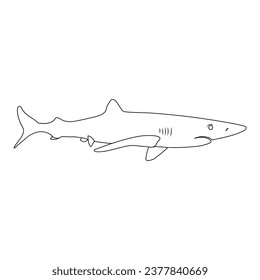 shark icon vector illustration design