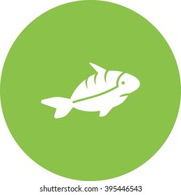 Shark II