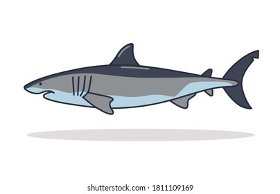 Shark Illustration graphic vector art