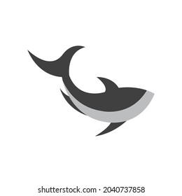 Shark illustration icon designTemplate Vector