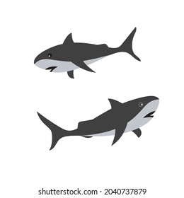 Shark illustration icon designTemplate Vector
