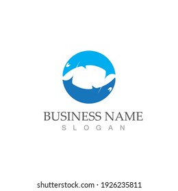 Shark illustration Logo Template Vector