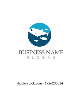 Shark illustration Logo Template Vector