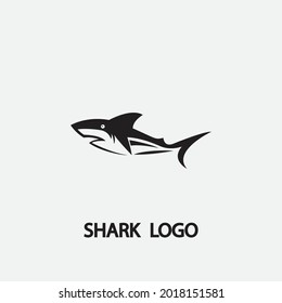 Shark illustration Logo Template Vector