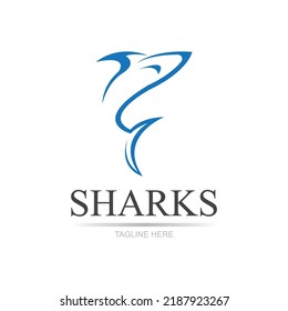 Shark illustration Logo Template Vector