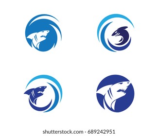 Shark illustration Logo Template Vector