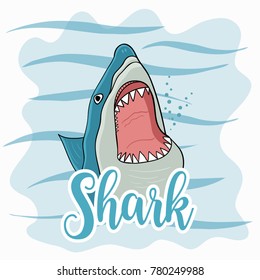 shark illustration in ocean
