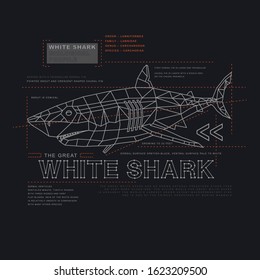 Shark illustration, tee shirt graphics, vectors, typography