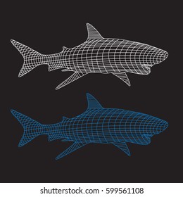 Shark illustration, typography, tee shirt graphics, vectors