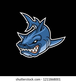 shark illustration vector