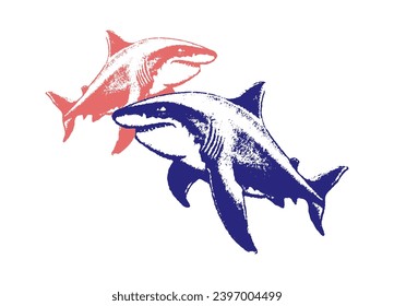 Shark illustration Shark Vector Shark Cartoon