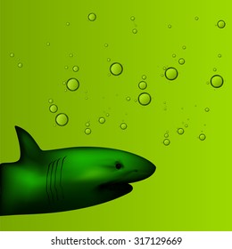 shark illustration in water background with bubbles on the green background