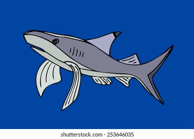 Shark. Isolated on blue