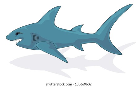 Shark isolated on white background, illustration.
