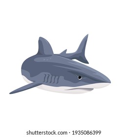 Shark isolated on white background. Vector illustration of aquatic animals.