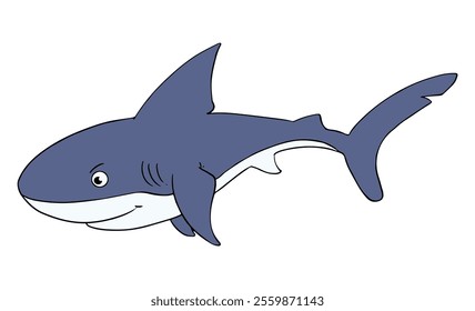 Shark isolated on white background