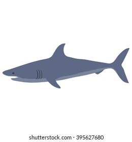 Shark isolated on white. Vector illustration