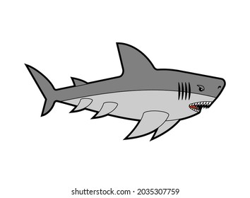 Tiburón aislado. Depredador marino. Gran pescado marino depredador. ilustración vectorial