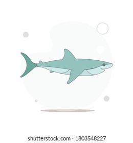 shark isolated vector flat illustration on white background