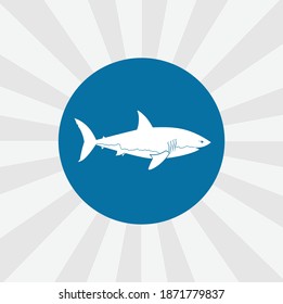 shark isolated vector icon. sea animal design element