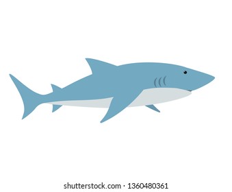 Shark. Isolated vector illustration