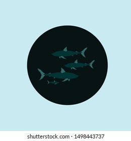 shark life in the ocean