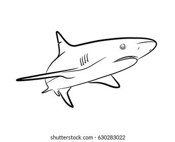 Shark Line Art Hand Drawn Vector Stock Vector (Royalty Free) 630283022 ...