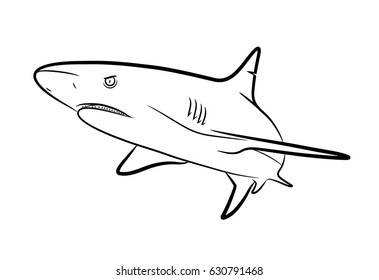 Shark Line Art Hand Drawn Vector Stock Vector (Royalty Free) 630791468 ...