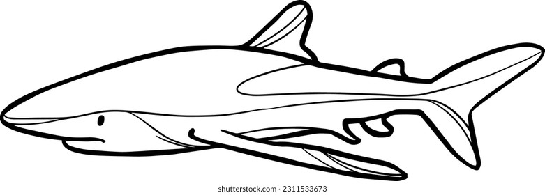 Shark. Line art vector illustration. Sea and ocean animals, modern minimalist outline icon. Hand drawn vector design for wallpaper, textile, print, invitations.