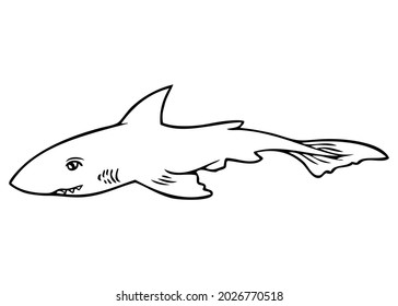 159 Shark top view Stock Vectors, Images & Vector Art | Shutterstock