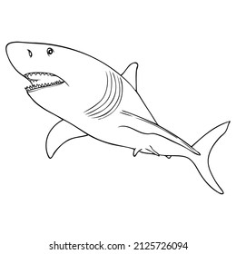 Shark Line Vector Illustrationisolated On White Stock Vector (Royalty ...