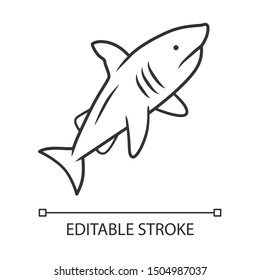 Shark linear icon. Dangerous ocean predator. Swimming fish. Underwater animal, ocean wildlife. Marine fauna. Thin line illustration. Contour symbol. Vector isolated outline drawing. Editable stroke