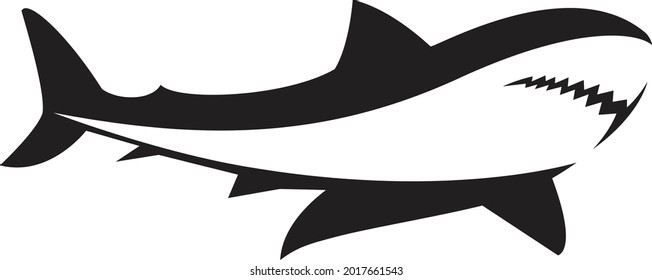 Shark logo. animal symbol. Aquatic ocean fish icon. Vector illustration