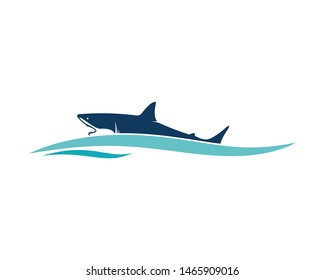 shark logo with blue color, vector design template