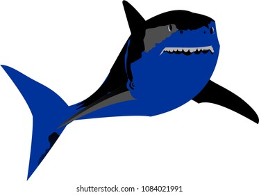 shark logo design