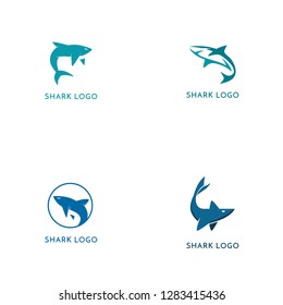 Shark Logo Design