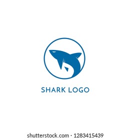 Shark Logo Design