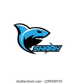 Shark Logo Design