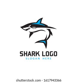 Shark logo icon design vector illustration