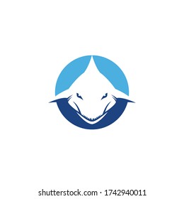 Shark Logo illustration vector Template
