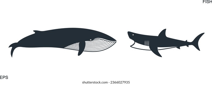 Shark logo. Isolated shark on white background