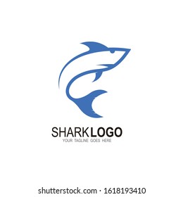 Shark logo with line design vector