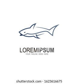 Shark logo with line design vector template
