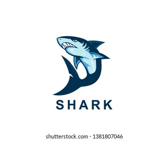 Shark logo sign - illustration